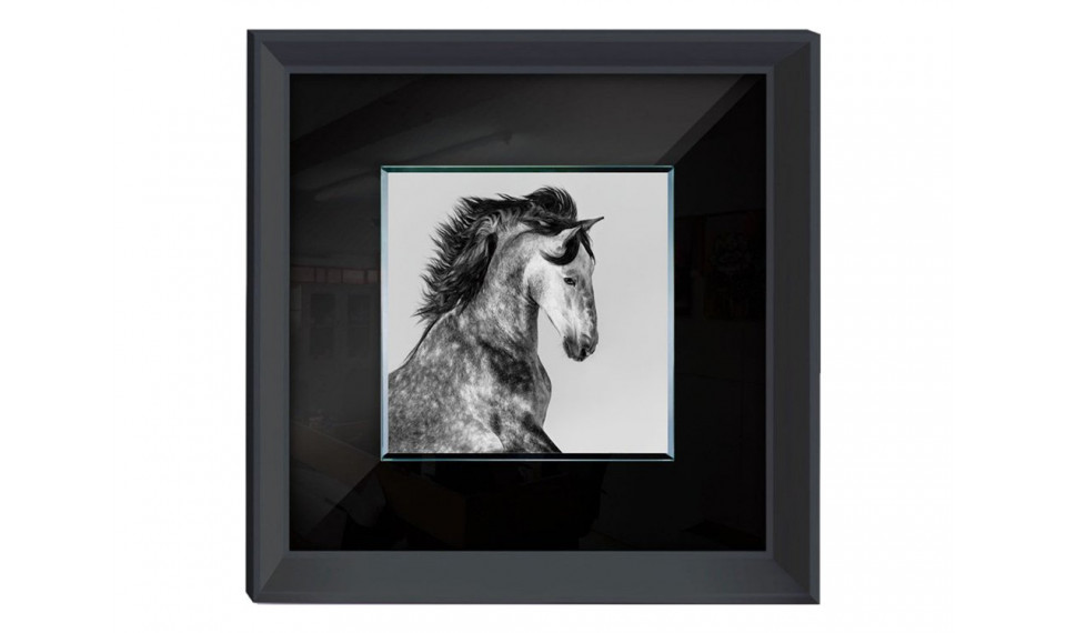 Painting S61577 | Paintings | ZIPhome.ee image 1