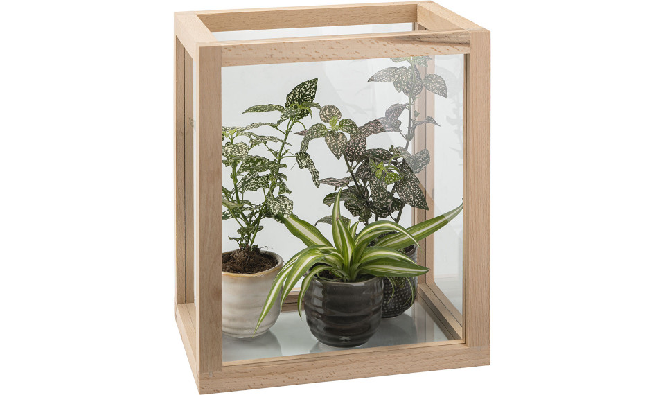 Decorative glasshouse Cabi | Dekorative dishes | ZIPhome.ee image 1