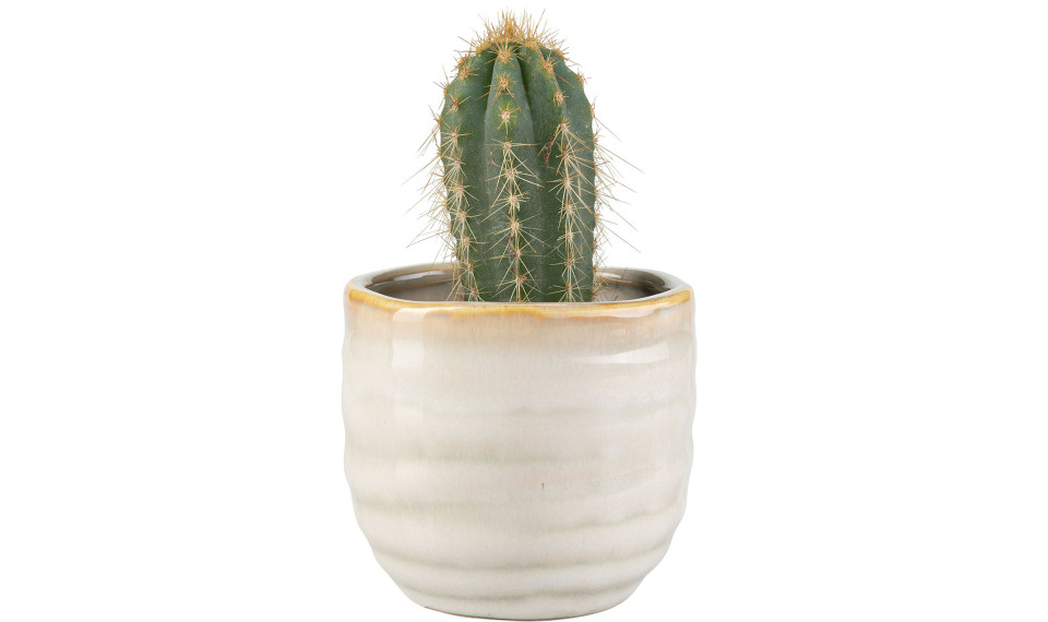 Small plant pot Lig | Lillepotid | ZIPhome.ee kuva 1