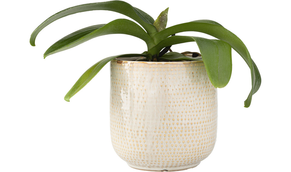 Plant pot Cera | Lillepotid | ZIPhome.ee pilt 1
