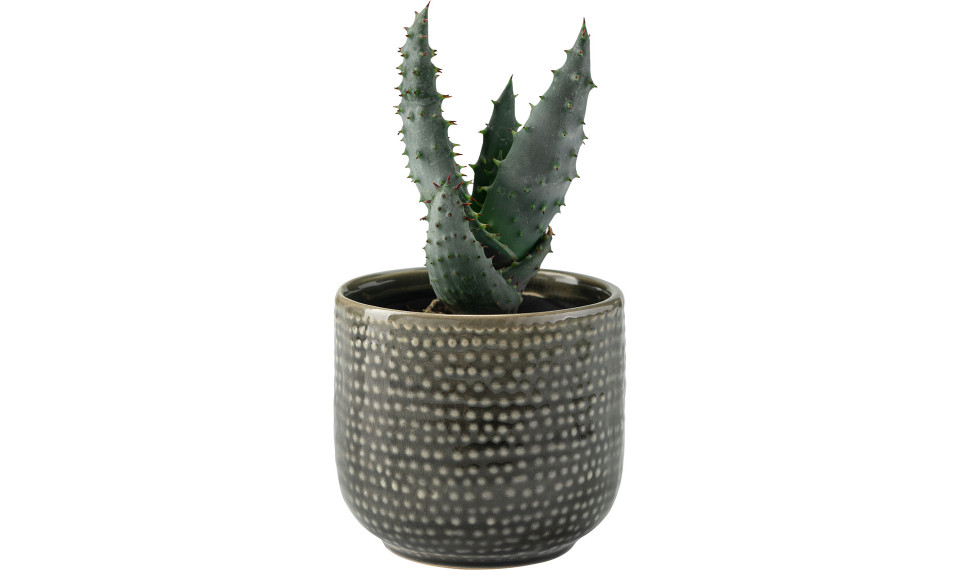 Small plant pot Ligo | Lillepotid | ZIPhome.ee pilt 1