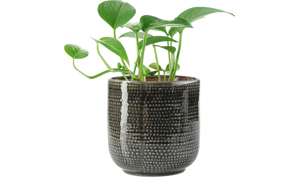 Big plant pot Ligo | Kukkaruukut | ZIPhome.ee kuva 1