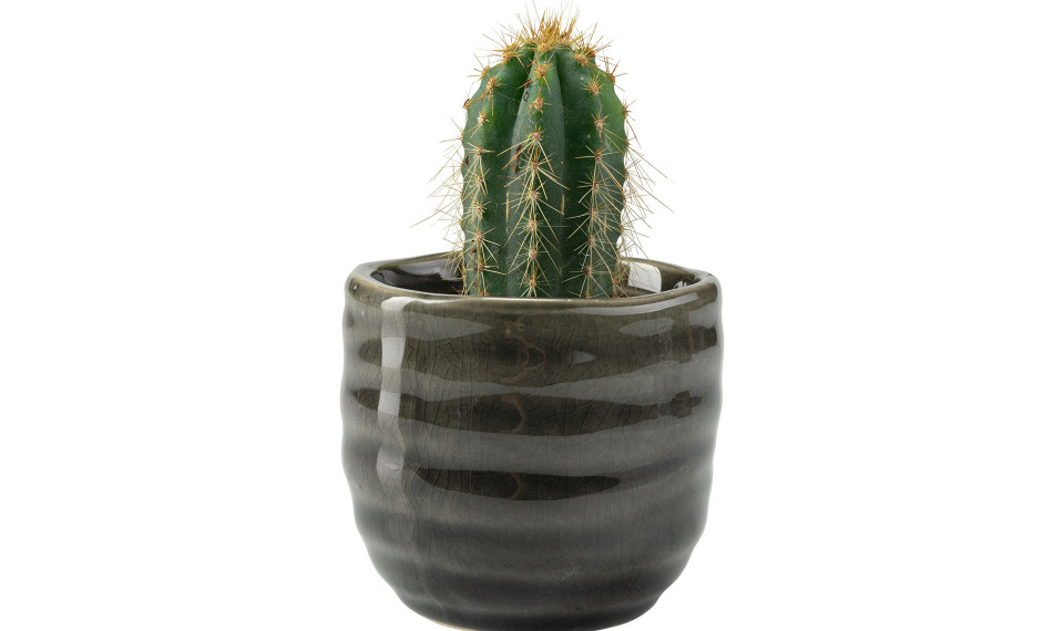 Small plant pot Liga | Lillepotid | ZIPhome.ee pilt 1