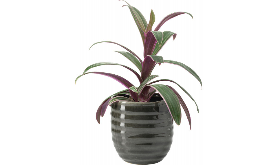 Big plant pot Liga | Flower pots | ZIPhome.ee image 1