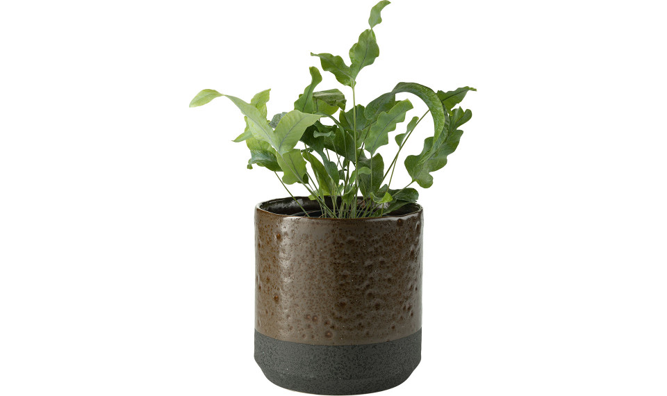 Big plant pot Raw | Kukkaruukut | ZIPhome.ee kuva 1