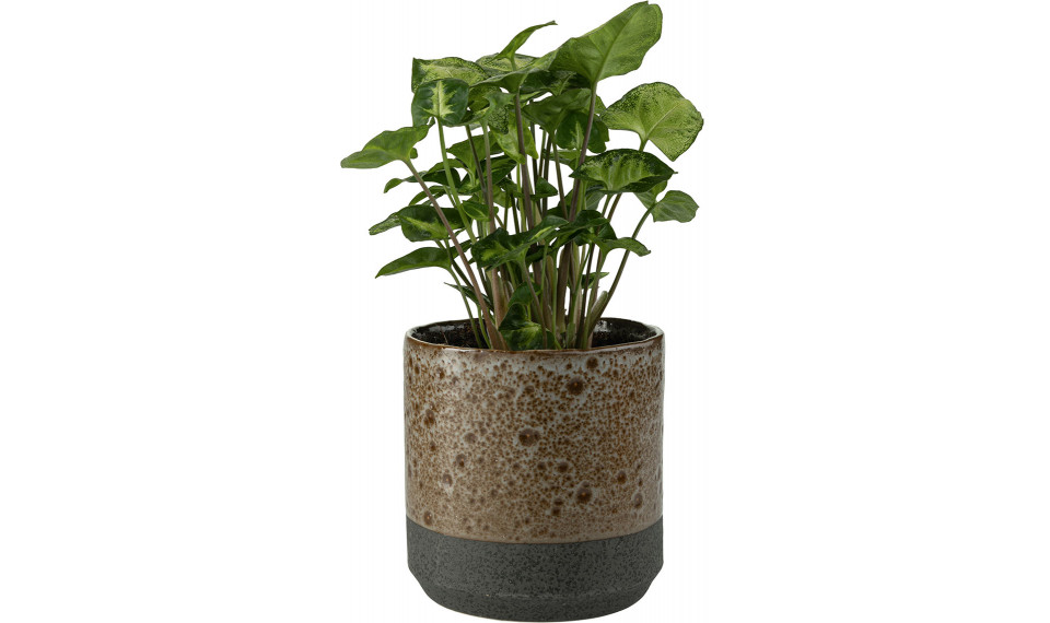 Plant pot Rawi | Lillepotid | ZIPhome.ee pilt 1