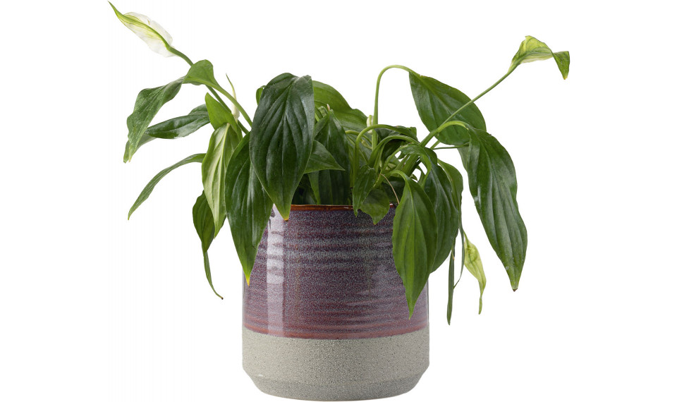 Big plant pot Nime | Kukkaruukut | ZIPhome.ee kuva 1