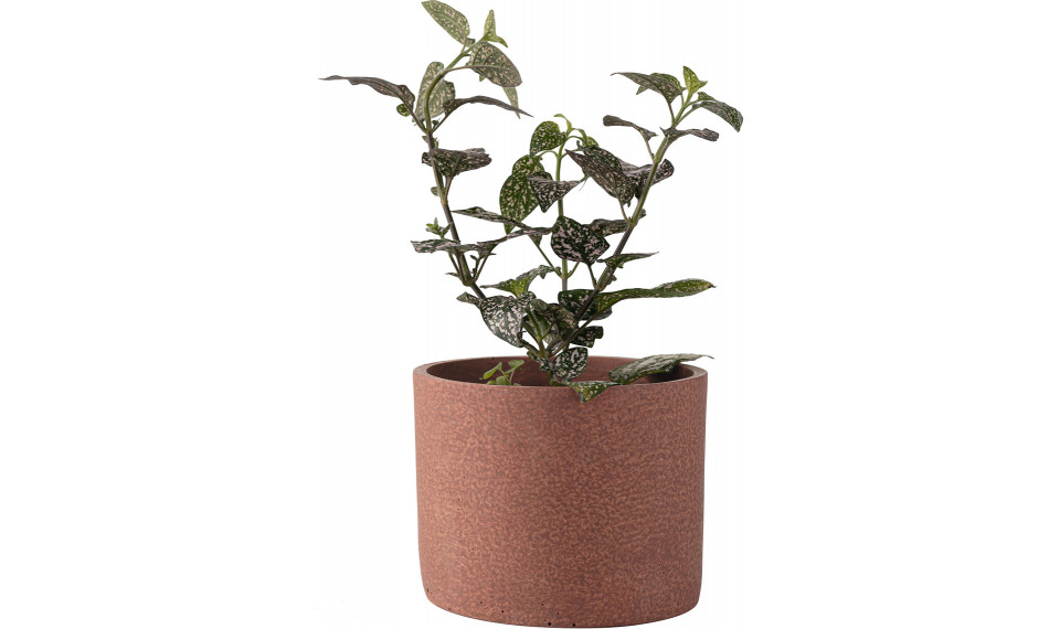 Small plant pot Redo | Lillepotid | ZIPhome.ee pilt 1