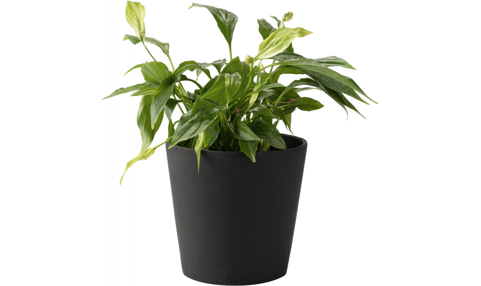 Small plant pot Duno | Lillepotid | ZIPhome.ee pilt 1
