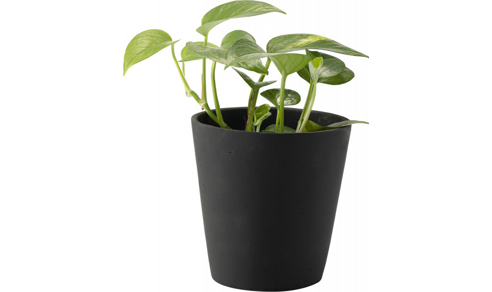 Big plant pot Duno | Kukkaruukut | ZIPhome.ee kuva 1