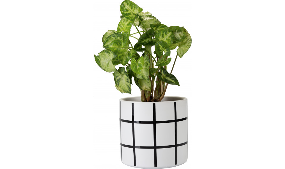 Plant pot Ida I | Kukkaruukut | ZIPhome.ee kuva 1