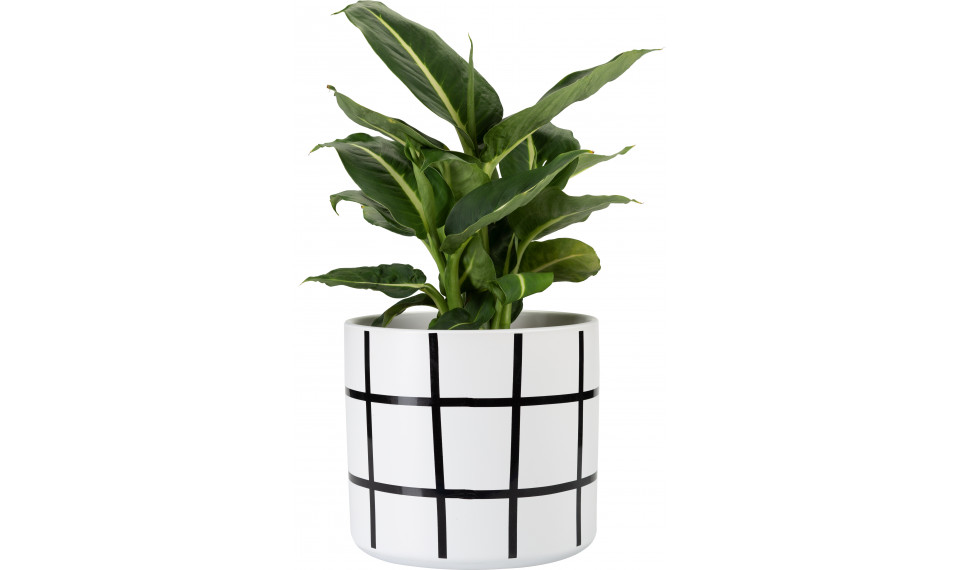 Plant pot Ida III | Kukkaruukut | ZIPhome.ee kuva 1