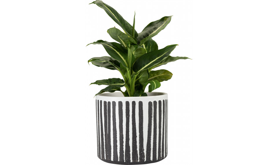 Big plant pot Runo | Flower pots | ZIPhome.ee image 1