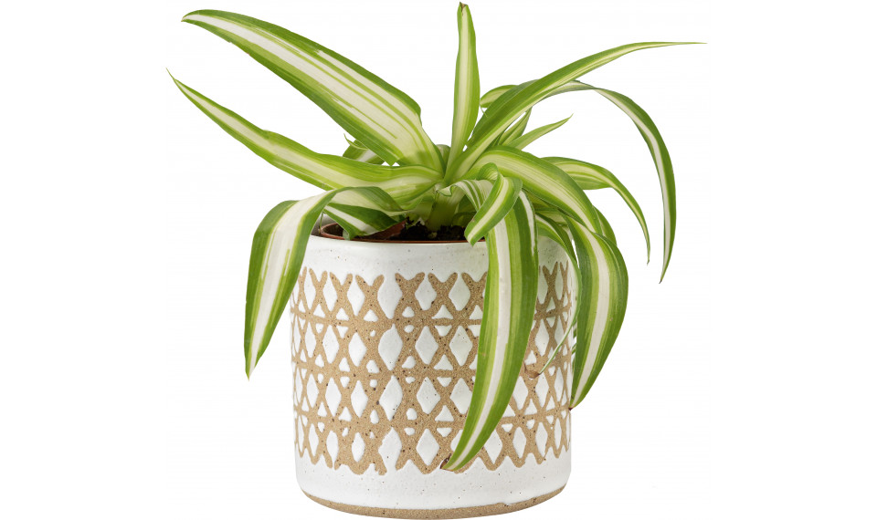 Plant pot Zigi I | Lillepotid | ZIPhome.ee pilt 1