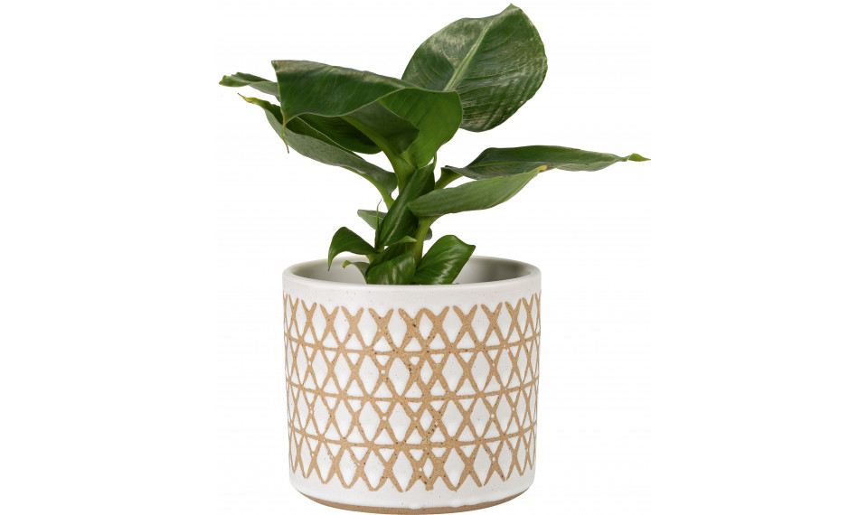 Plant pot Zigi II | Lillepotid | ZIPhome.ee kuva 1