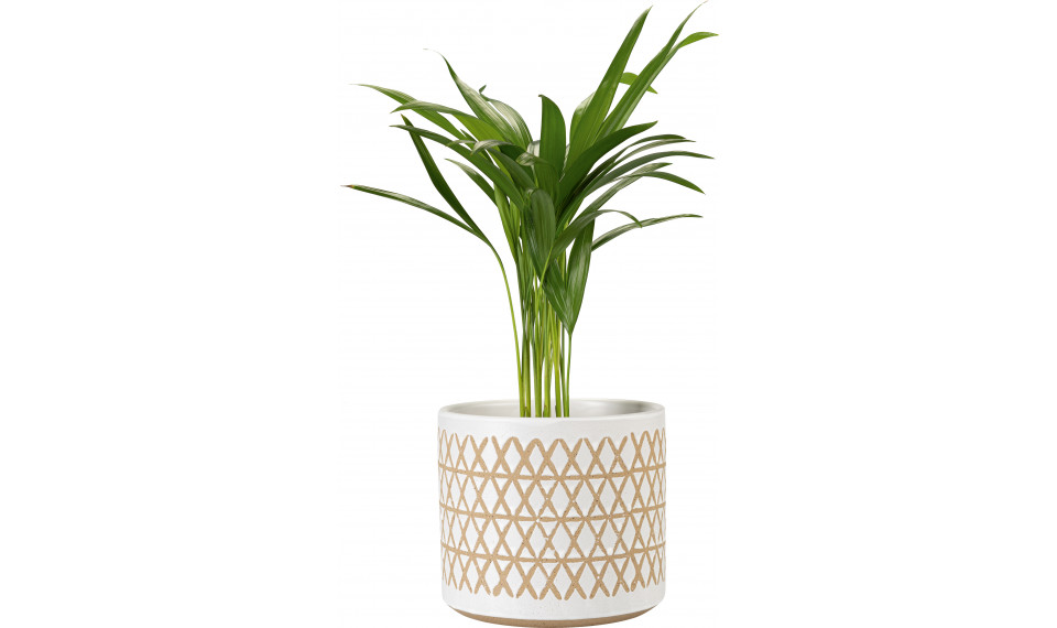 Plant pot Zigi IV | Lillepotid | ZIPhome.ee image 1