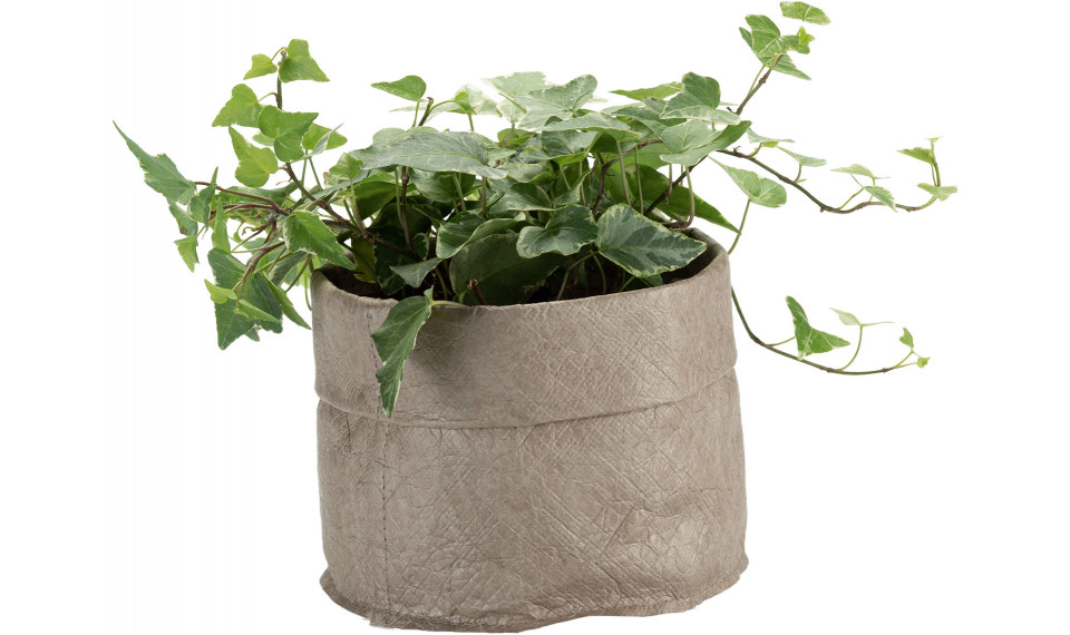 Small container Calm | Коробки и органайзеры | ZIPhome.ee изображение 1