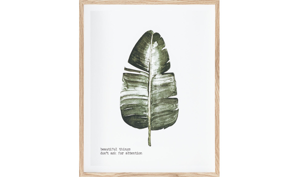 Artwork Botaniq II | Картины | ZIPhome.ee изображение 1