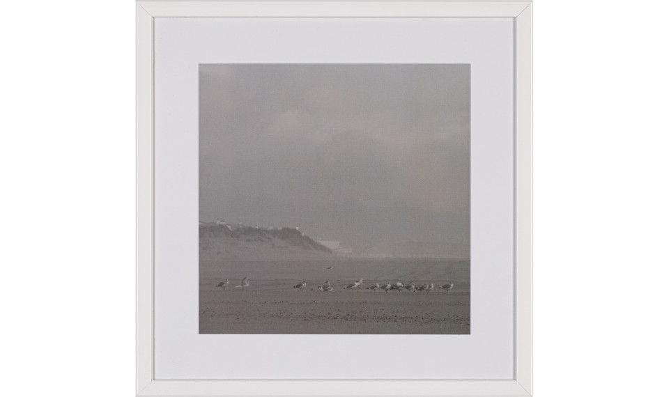 Photograph Calm III | Картины | ZIPhome.ee изображение 1