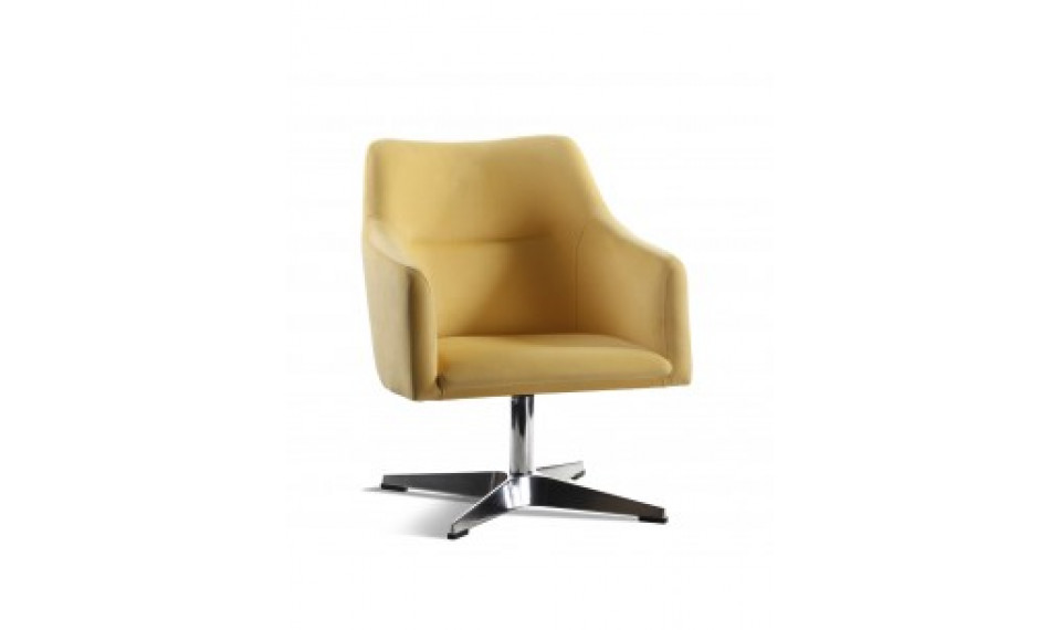 HAMILTON armchair | 100% Quality HAMILTON armchair | Armchairs | ZIPhome.ee image 1