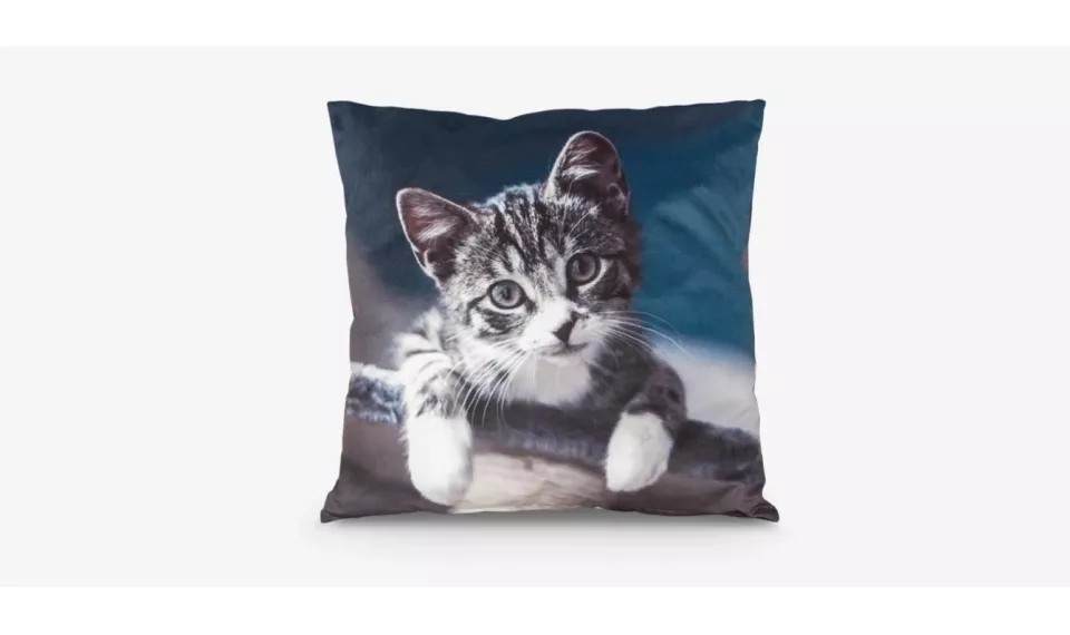 KAČIUKAS deco pillow | Textiles | ZIPhome.ee image 1