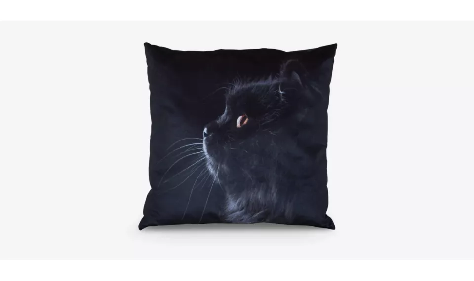 KATĖ deco pillow | Textiles | ZIPhome.ee image 1