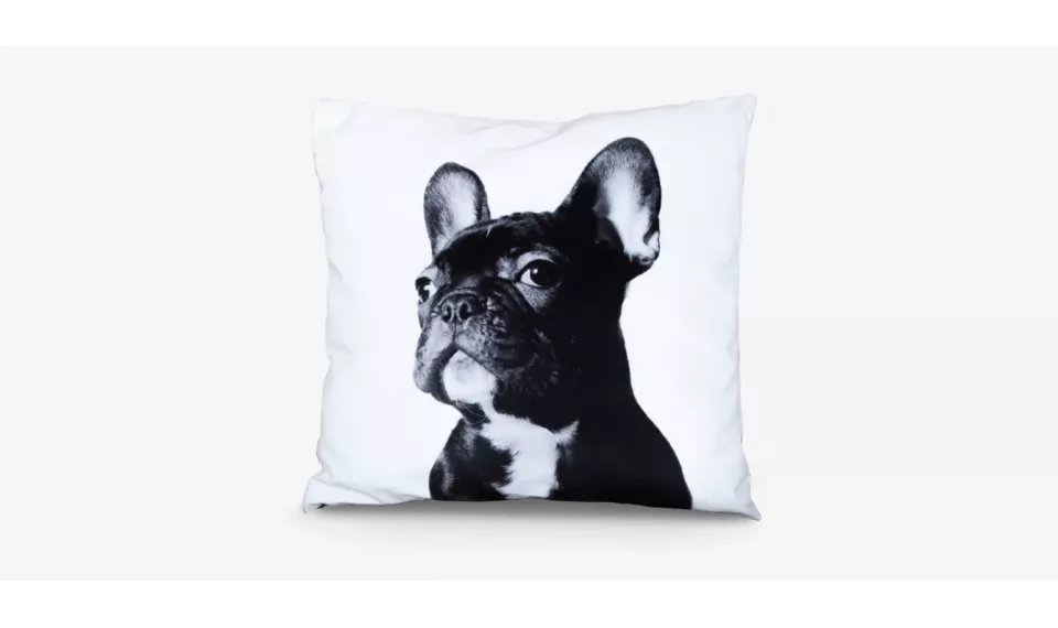 PRANCŪZŲ BULDOGAS dekoratiivpadi | Tekstiil | ZIPhome.ee kuva 1