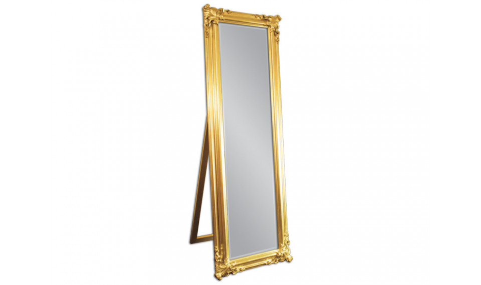 Mirror 21023 gold 50x170 | Mirrors | ZIPhome.ee image 1