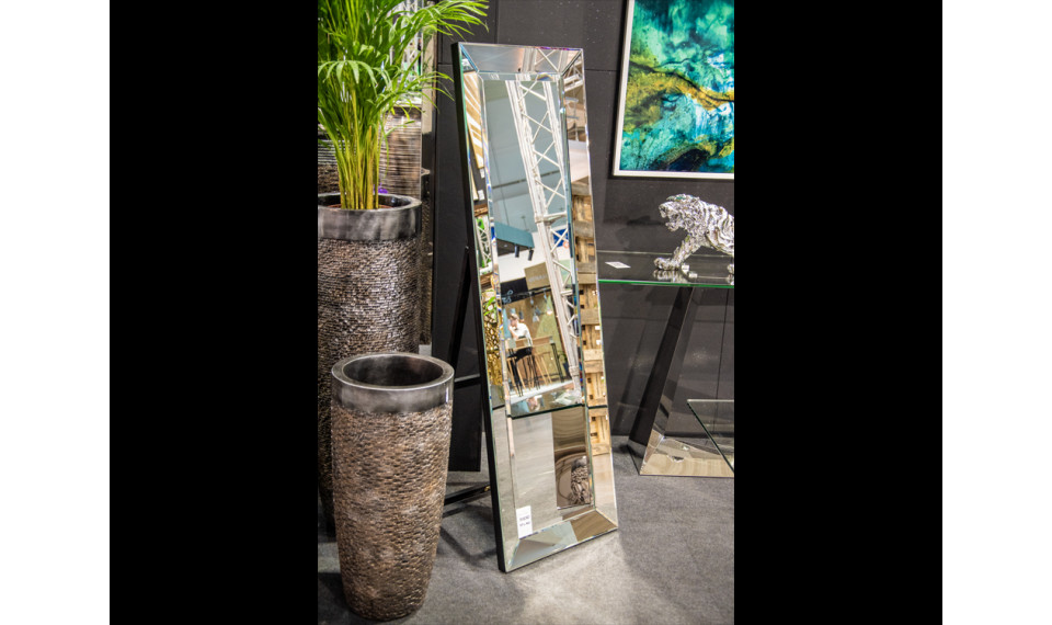 Зеркало JZ0270 50x160 | Зеркала | ZIPhome.ee изображение 4