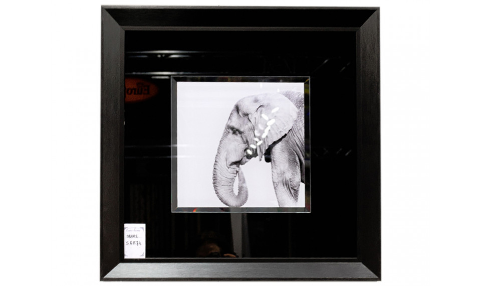 Painting S61574 | Paintings | ZIPhome.ee image 1