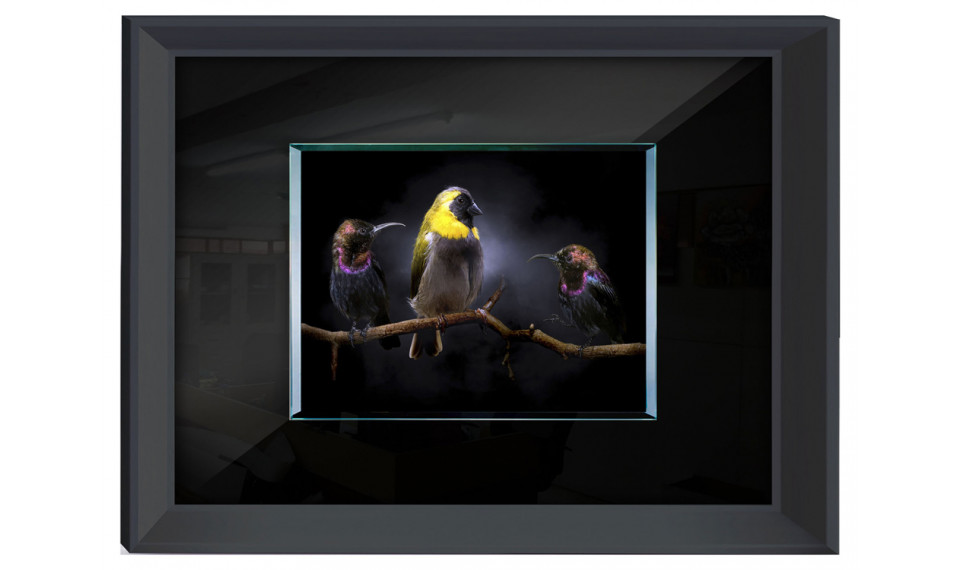 Painting S61075 | Paintings | ZIPhome.ee image 1