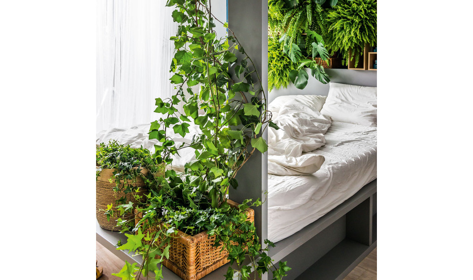 Voodi riiulitega 16x200 tõstetava alusega |  | ZIPhome.ee pilt 21