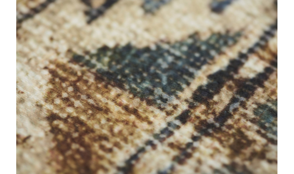PERSIAN Brown 200x300 carpet | 100% Quality PERSIAN Brown 200x300 carpet | Fargotex | ZIPhome.ee image 3