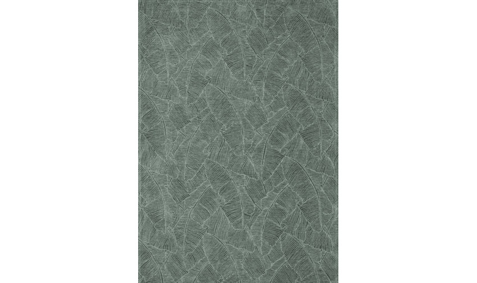 BALI Dusty Green 160x230 vaip | Fargotex | ZIPhome.ee pilt 1