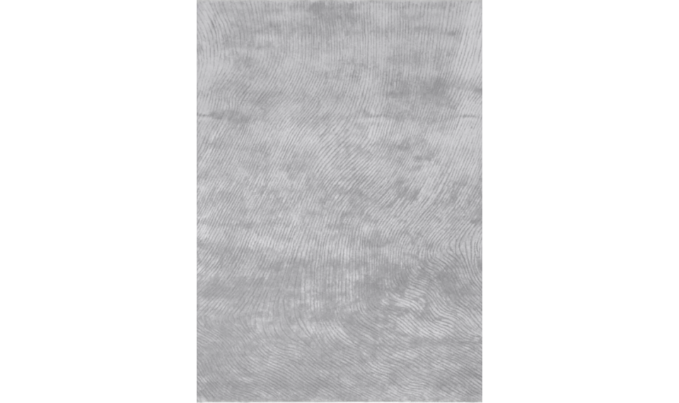 CANYON Silver 160x230 ковер | Fargotex | ZIPhome.ee изображение 1