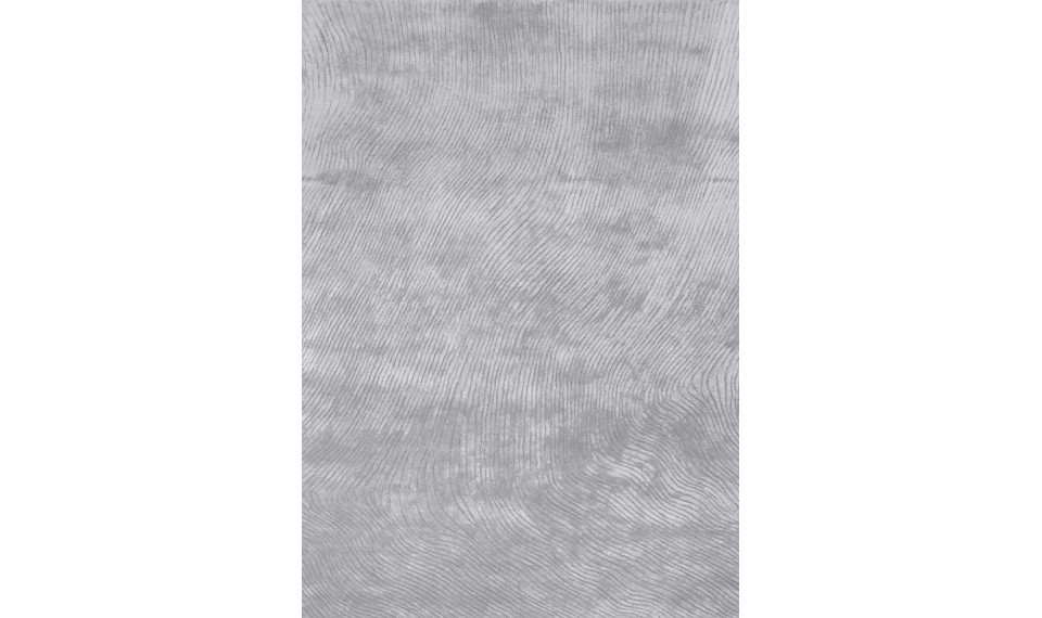 CANYON Silver 160x230 vaip | Fargotex | ZIPhome.ee pilt 1