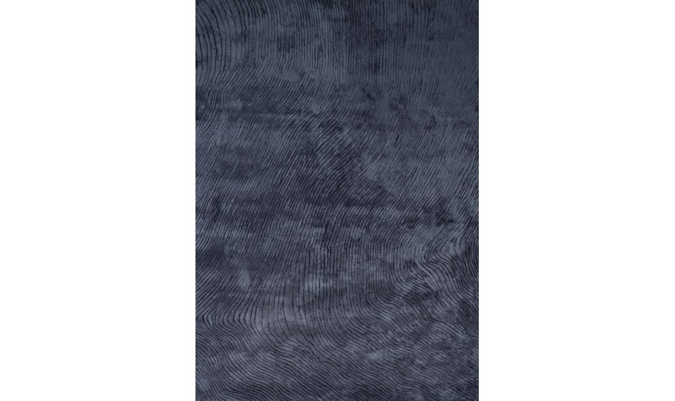 CANYON Dark Blue 200x300 vaip | Fargotex | ZIPhome.ee pilt 1