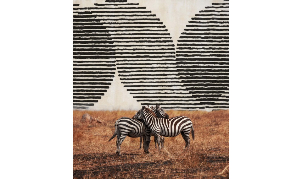 ECLIPSE Ivory 160x230 vaip | Fargotex | ZIPhome.ee изображение 5