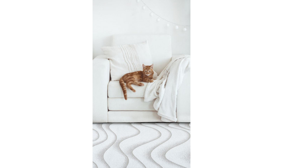 SABBIA Beige  200x300 ковер | Fargotex | ZIPhome.ee изображение 2