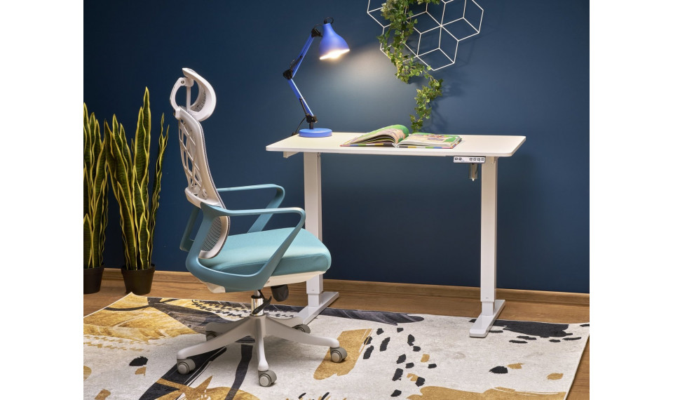 Письменный стол B53 | Письменные столы | ZIPhome.ee изображение 1