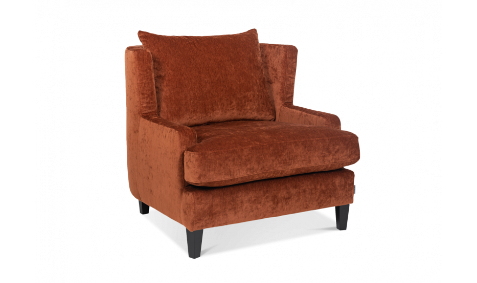 DINA Armchair | 100% Quality DINA Armchair | Armchairs | ZIPhome.ee image 1