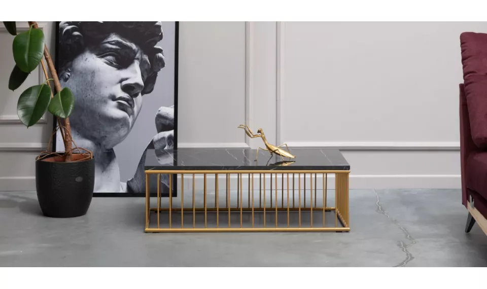 VYTIS 90x46 Coffee table rectangular | Сoffee tables | ZIPhome.ee image 1