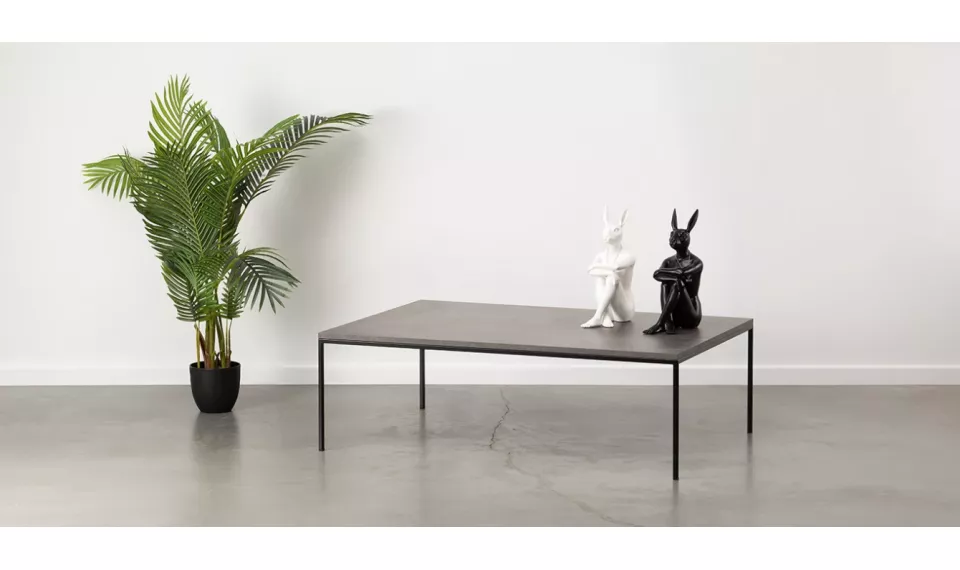 ORGANIC 120x80 Coffee table | Сoffee tables | ZIPhome.ee image 1
