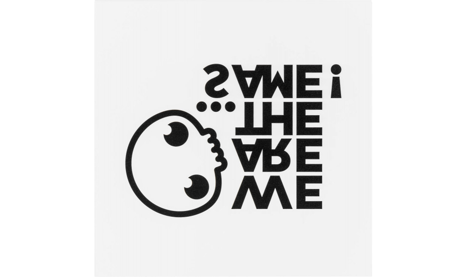 Metal front overlay Same | Young Users | ZIPhome.ee image 1