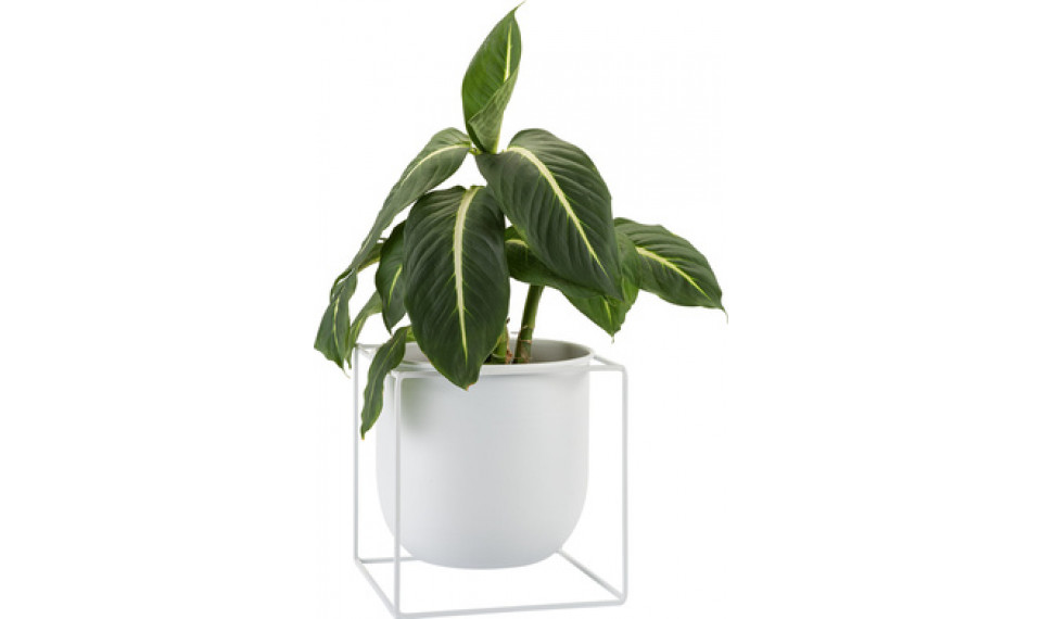 Taimepott Ovo valge | Ribbon | ZIPhome.ee pilt 1