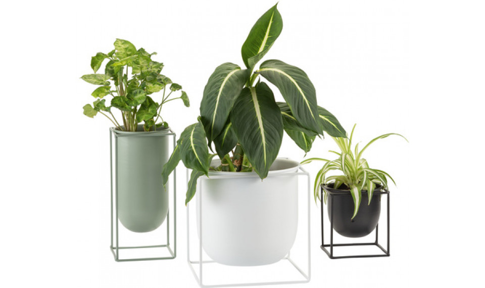 Taimepott Ovo valge | Ribbon | ZIPhome.ee pilt 4