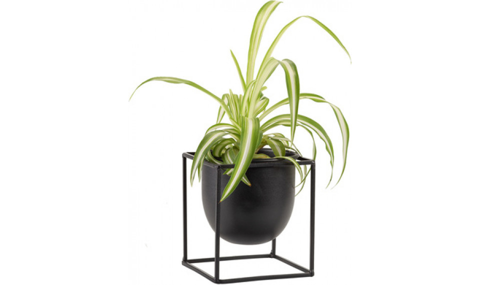 Plant pot Ovo black | Ribbon | ZIPhome.ee kuva 1