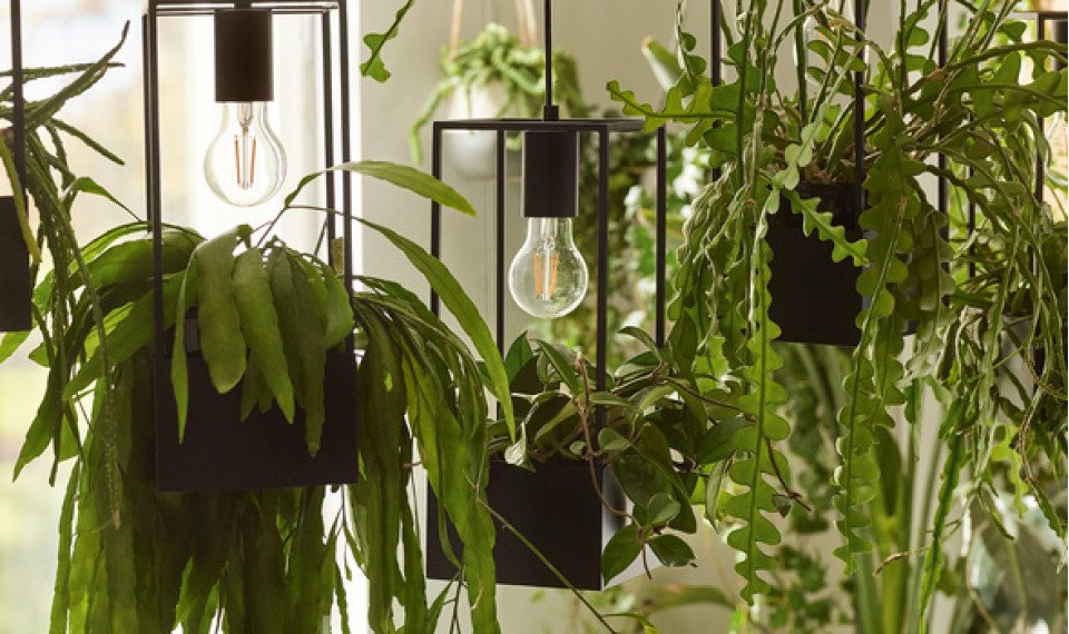 Väike rippvalgusti Lank | Ribbon | ZIPhome.ee pilt 4