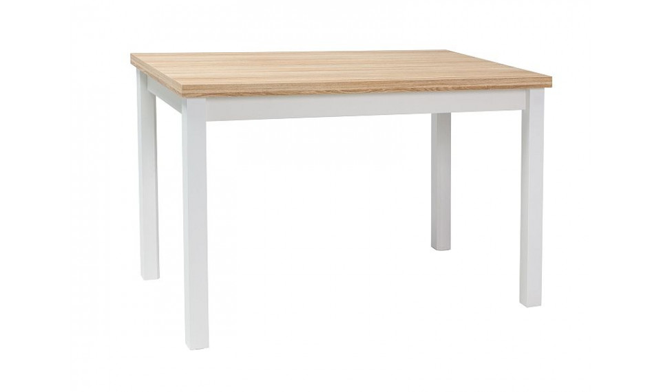 ADAM Söögilaud 100x60 Tamm/Valge | 100% kvaliteet ADAM Söögilaud 100x60 Tamm/Valge | Lauad | ZIPhome.ee pilt 1
