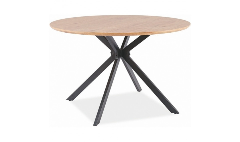 ASTER söögilaud | Lauad | ZIPhome.ee pilt 1